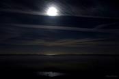 Stilte bij maanlicht